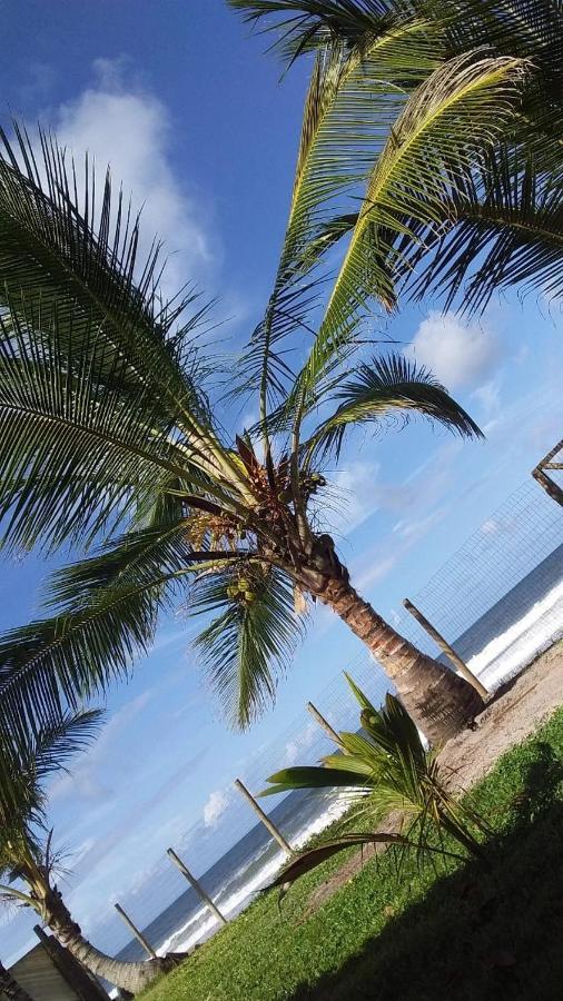 Casa Aconchego Goiano Hotel Ilhéus Kültér fotó